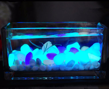 Glow Is Inside Stone Decor