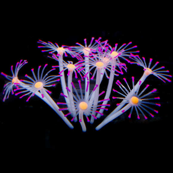 Artificial Glowing Corals