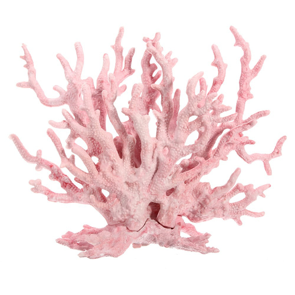 Vivid & Beautiful Coral