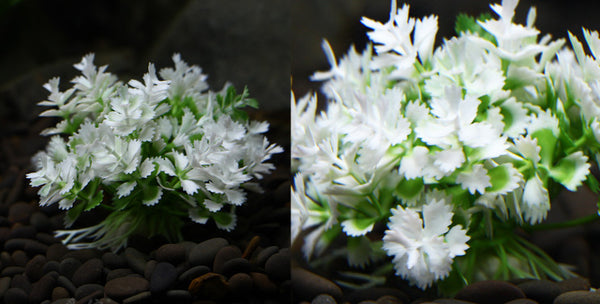 Extremely Wonderful Artificial Plant