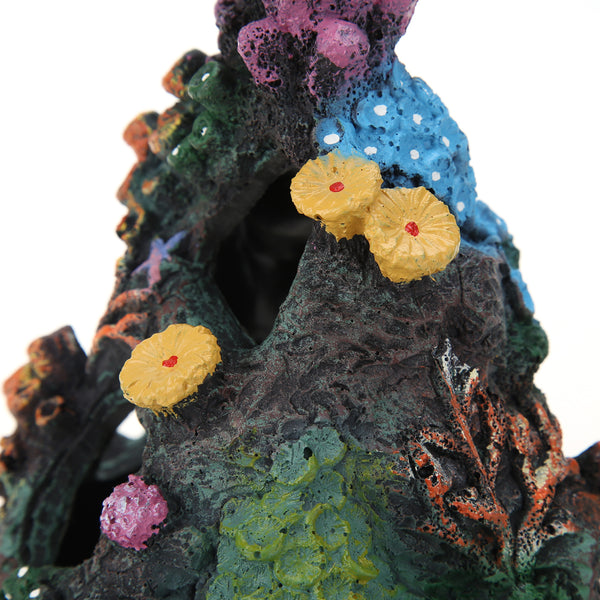 Mountain View Hiding Cave