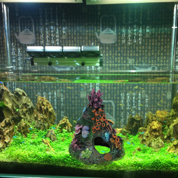 Mountain View Hiding Cave