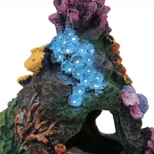 Mountain View Hiding Cave