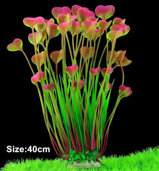 Cutie Heart Shaped Plant